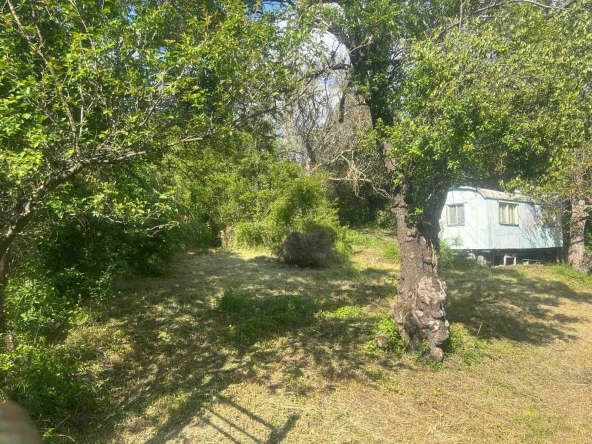 Парцел в с. Драготинци, Област София-област - 1250 кв.м за 18 €/кв.м - Снимка #1