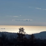 Парцел в Варна, м-т Боровец - юг - 4600 кв.м за 17 €/кв.м - Снимка #1