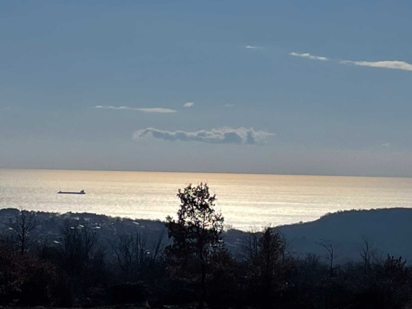 Парцел в Варна, м-т Боровец - юг - 4600 кв.м за 17 €/кв.м - Снимка #1