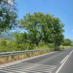 Парцел в Сопот - 5600 кв.м за 15 €/кв.м - Снимка #1