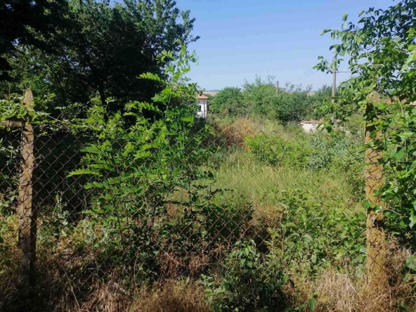 Парцел в с. Васил Левски, Област Търговище - 800 кв.м за 19 €/кв.м - Снимка #1