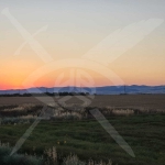 Къща в Бургас, Сарафово - 203 кв.м за 1404 €/кв.м - Снимка #1