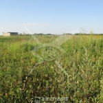 Парцел в с. Войводиново, Област Пловдив - 832 кв.м за 97 €/кв.м - Снимка #1