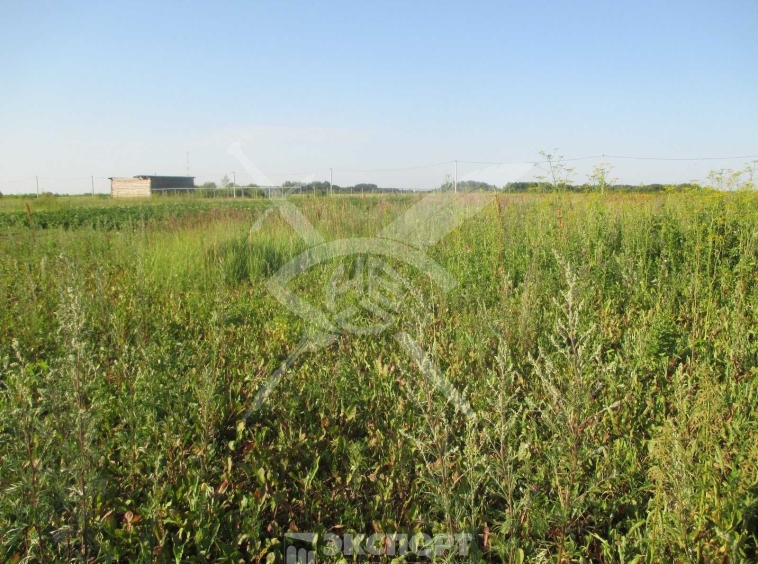 Парцел в с. Войводиново, Област Пловдив - 832 кв.м за 97 €/кв.м - Снимка #1