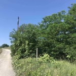 Парцел в с. Приселци, Област Варна - 2491 кв.м за 23 €/кв.м - Снимка #1