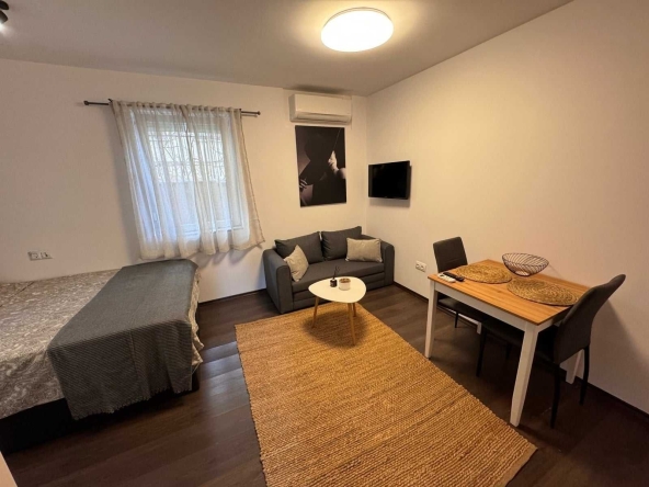 Дава се под наем Едностаен апартамент в София, Бъкстон - 45 кв.м за 408 € - Снимка #1