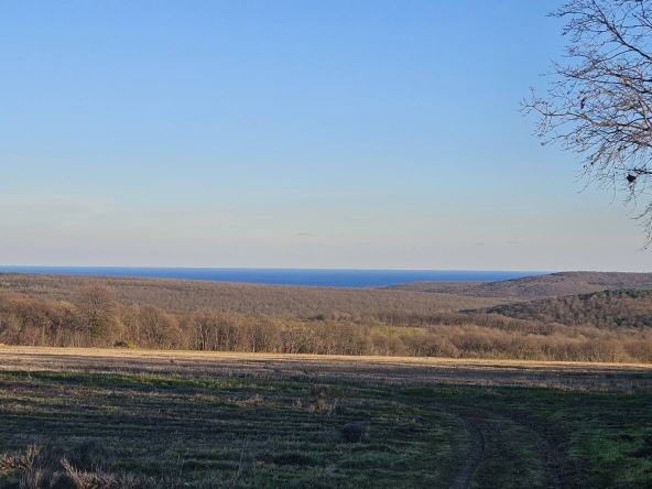 Парцел в с. Приселци, Област Варна - 7000 кв.м за 15 €/кв.м - Снимка #1