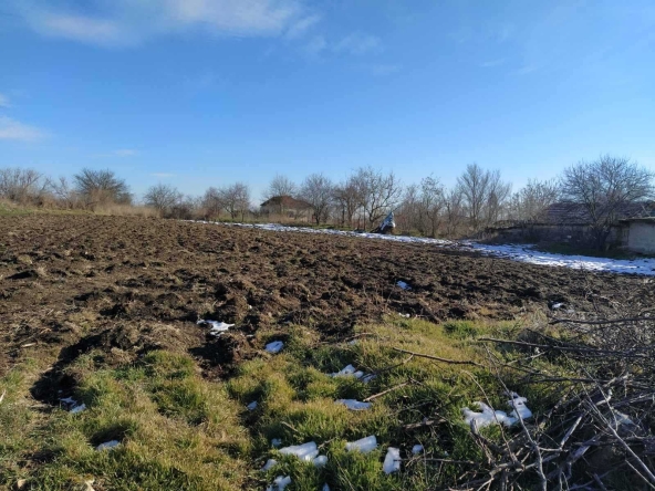 Парцел в с. Кривня, Област Варна - 2100 кв.м за 8 €/кв.м - Снимка #1