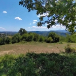 Парцел в Габрово, Горни Бакойци - 2227 кв.м за 11 €/кв.м - Снимка #1