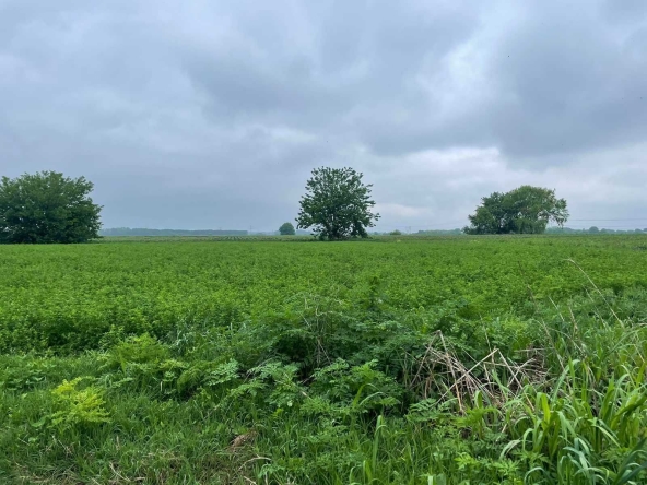 Парцел в с. Ягодово, Област Пловдив - 2750 кв.м за 13 €/кв.м - Снимка #1