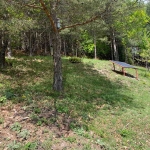 Парцел в с. Сини връх, Област Пловдив - 887 кв.м за 29 €/кв.м - Снимка #1