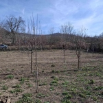 Парцел в с. Петров дол, Област Варна - 705 кв.м за 21 €/кв.м - Снимка #1