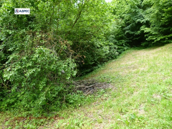 Парцел в с. Бели Осъм, Област Ловеч - 1612 кв.м за 16 €/кв.м - Снимка #1