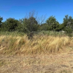 Парцел в Пловдив, Беломорски - 4346 кв.м за 73 €/кв.м - Снимка #1