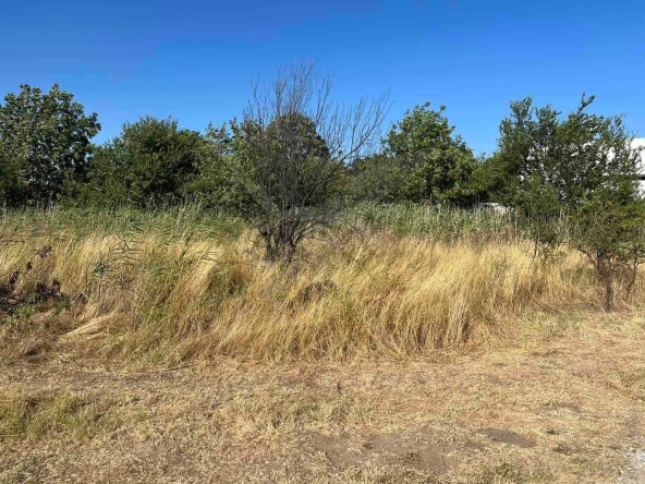 Парцел в Пловдив, Беломорски - 4346 кв.м за 73 €/кв.м - Снимка #1