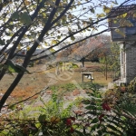 Парцел в с. Изворище, Област Бургас - 722 кв.м за 75 €/кв.м - Снимка #1