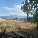 Парцел в с. Крумово, Област Пловдив - 1751 кв.м за 58 €/кв.м - Снимка #1