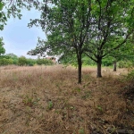 Къща в с. Червен, Област Пловдив - 50 кв.м за 980 €/кв.м - Снимка #1