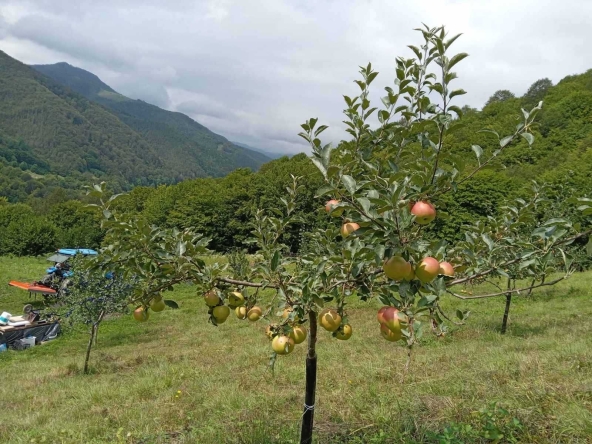 Земеделски имот в София, Карпузица -  кв.м за 3358 €/дка - Снимка #1