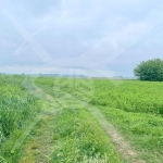 Парцел в с. Ягодово, Област Пловдив - 2750 кв.м за 13 €/кв.м - Снимка #1