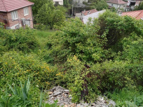 Парцел в с. Хвойна, Област Смолян - 380 кв.м за 22 €/кв.м - Снимка #1