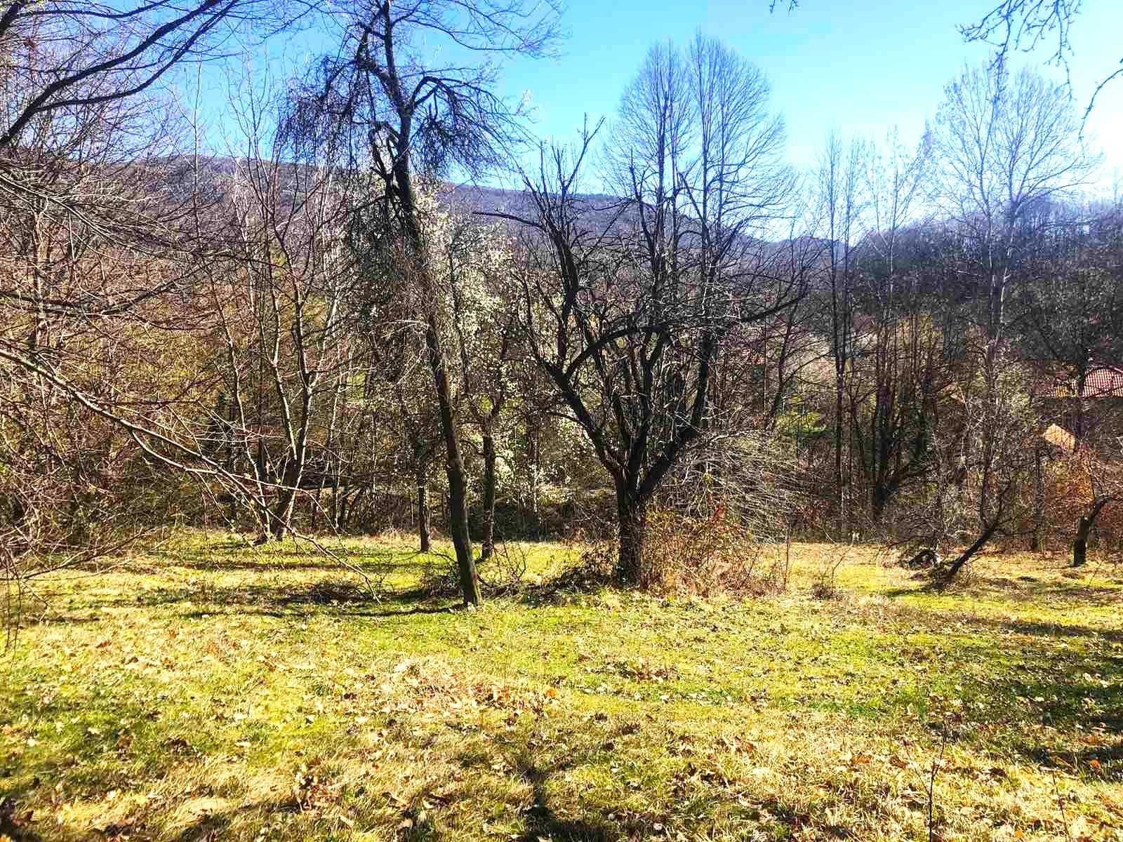 Парцел в с. Гледаци, Област Габрово - 1111 кв.м за 5 €/кв.м - Снимка #1