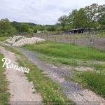 Парцел в Игнатиево - 4003 кв.м за 2 €/кв.м - Снимка #1