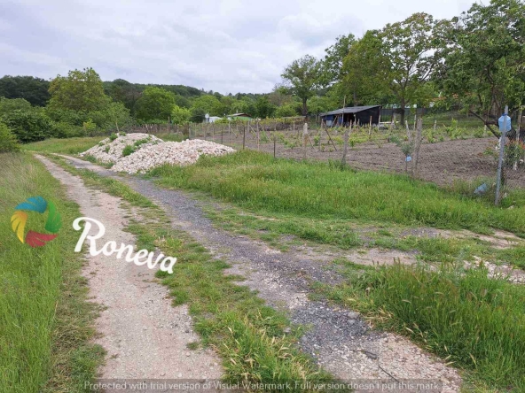 Парцел в Игнатиево - 4003 кв.м за 2 €/кв.м - Снимка #1