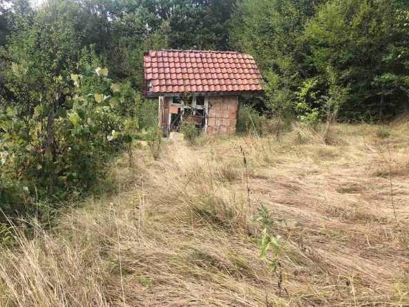 Парцел в с. Жълтеш, Област Габрово - 1650 кв.м за 6 €/кв.м - Снимка #1