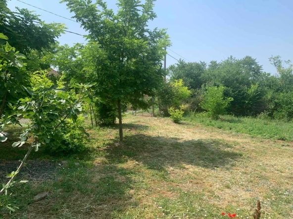 Парцел в с. Добриново, Област Бургас - 1150 кв.м за 14 €/кв.м - Снимка #1