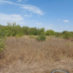 Парцел в Добрич, Балик - 560 кв.м за 18 €/кв.м - Снимка #1