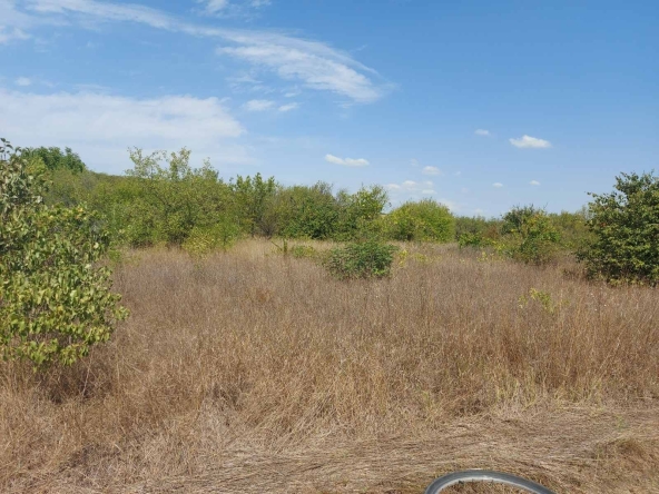 Парцел в Добрич, Балик - 560 кв.м за 18 €/кв.м - Снимка #1