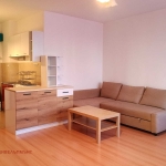 Дава се под наем Двустаен апартамент в София, Дървеница - 68 кв.м за 613.55 € - Снимка #1