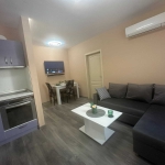 Дава се под наем Двустаен апартамент в Пловдив, Кючук Париж - 52 кв.м за 350 € - Снимка #1