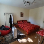 Къща в с. Староселци, Област Плевен - 170 кв.м за 177 €/кв.м - Снимка #1