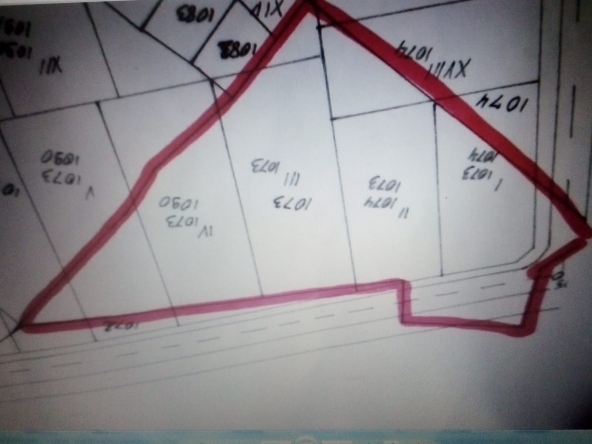 Парцел в Костандово - 3900 кв.м за 18 €/кв.м - Снимка #1