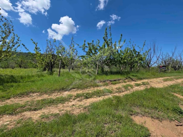 Парцел в с. Брестник, Област Пловдив - 1125 кв.м за 50 €/кв.м - Снимка #1