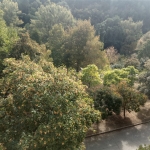 Четиристаен апартамент в Благоевград, Идеален център - 80 кв.м за 1563 €/кв.м - Снимка #1