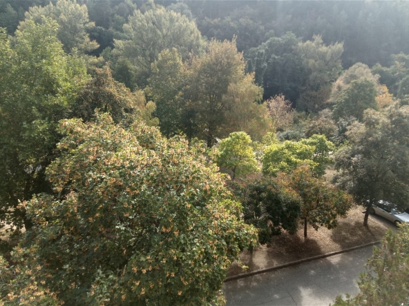 Четиристаен апартамент в Благоевград, Идеален център - 80 кв.м за 1563 €/кв.м - Снимка #1