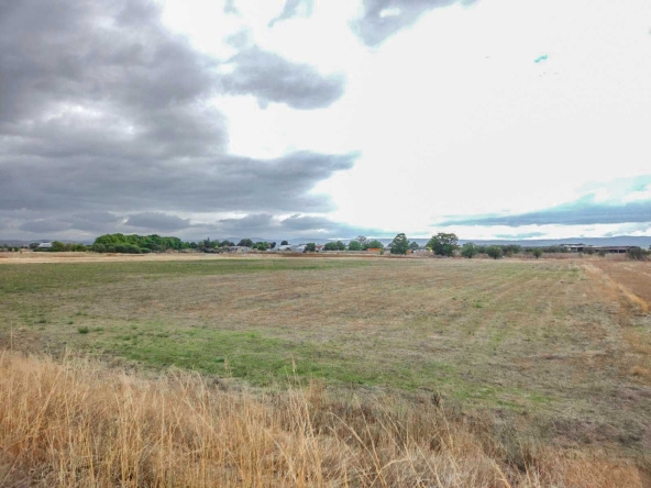 Парцел в с. Лесново, Област София-област - 2300 кв.м за 40 €/кв.м - Снимка #1