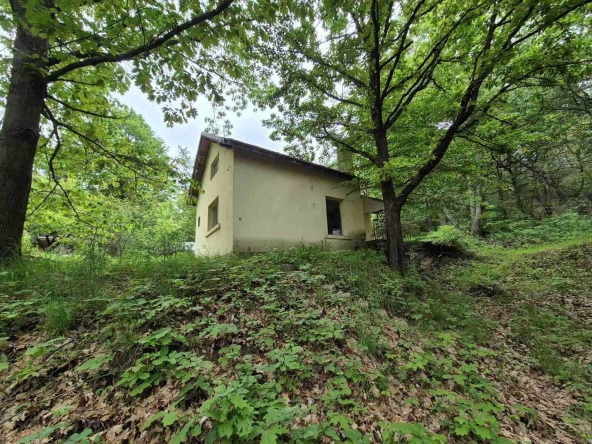 Къща в с. Долно Камарци, Област София-област - 100 кв.м за 750 €/кв.м - Снимка #1