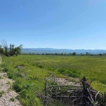 Парцел в Долна баня - 150000 кв.м за 2 €/кв.м - Снимка #1