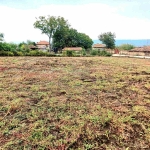 Парцел в с. Куцина, Област Велико Търново - 1000 кв.м за 10 €/кв.м - Снимка #1