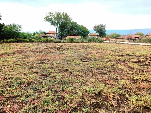 Парцел в с. Куцина, Област Велико Търново - 1000 кв.м за 10 €/кв.м - Снимка #1