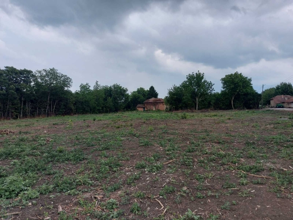 Парцел в с. Караисен, Област Велико Търново - 11830 кв.м за 4 €/кв.м - Снимка #1