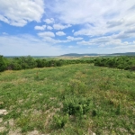 Парцел в с. Рогачево, Област Добрич - 1400 кв.м за 38 €/кв.м - Снимка #1