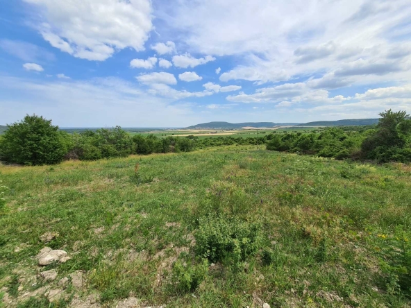 Парцел в с. Рогачево, Област Добрич - 1400 кв.м за 38 €/кв.м - Снимка #1