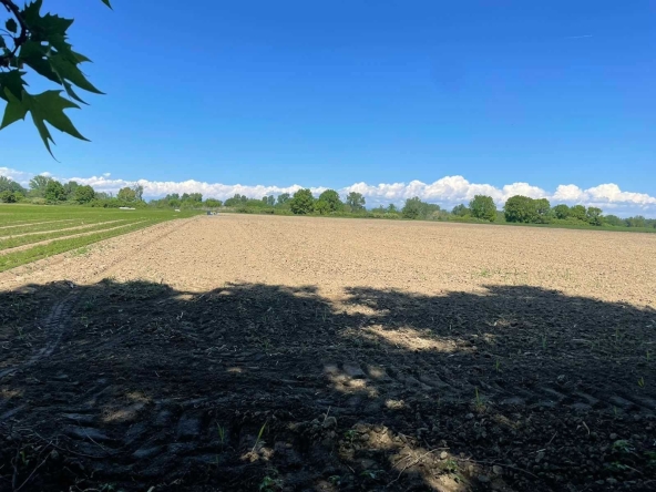 Парцел в с. Ягодово, Област Пловдив - 7996 кв.м за 13 €/кв.м - Снимка #1