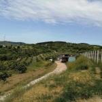 Парцел в Ветрен - 134 кв.м за 2612 €/кв.м - Снимка #1