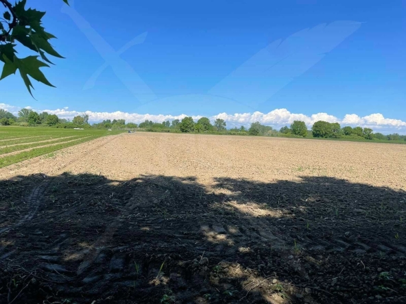 Земеделски имот в с. Ягодово, Област Пловдив -  кв.м за 13 €/дка - Снимка #1